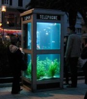 «Шкафы» Phone booth aquariums шагают по Европе