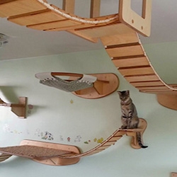 Немецкие дизайнеры разработали полезную мебель для кошек