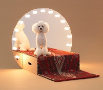 Дизайнерская мебель для собак пользуется спросом
