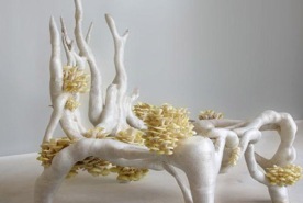 Дизайнер из Голландии создал кресло с грибным мицелием