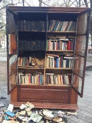Вандалы подожгли общественный книжный шкаф во Владивостоке