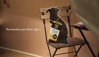 IKEA Singapore призывает клиентов брать собак из приюта