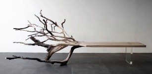 Fallen Tree Bench: арт-объект в гостиной
