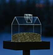 Twilight Bird-Table: готов и стол, и дом