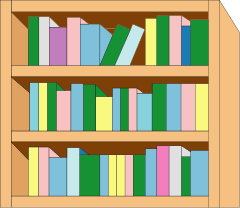 Во Владивостоке – новый общедоступный книжный шкаф